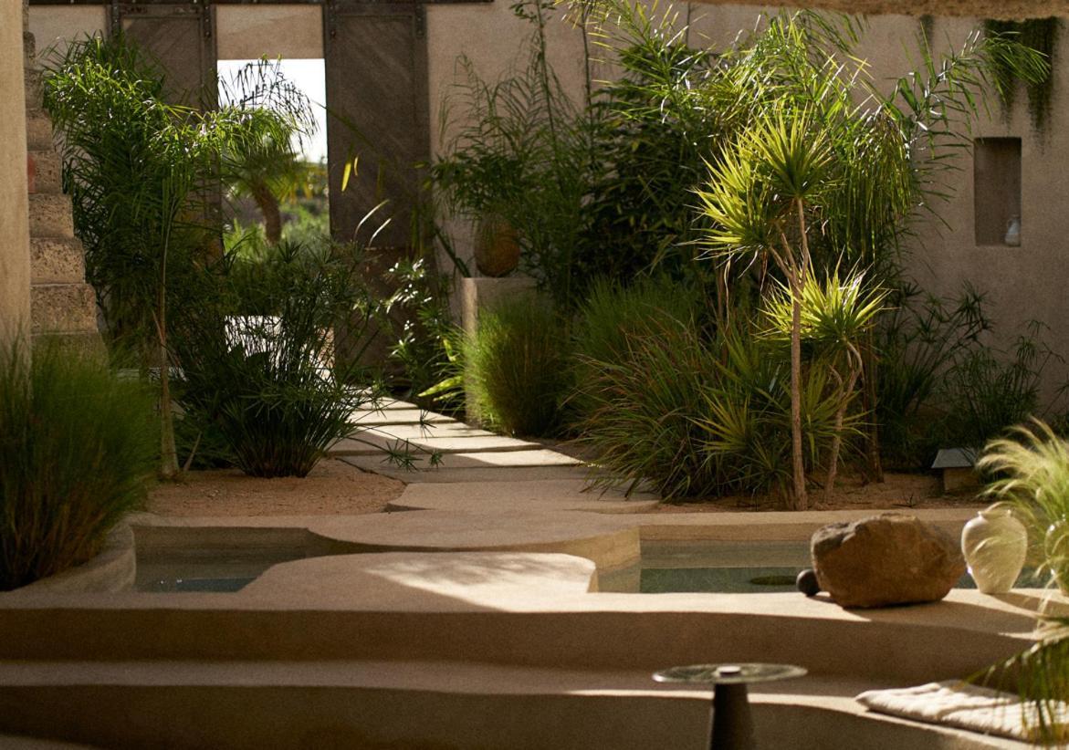 Ecohotel El Agua Arico el Nuevo Eksteriør bilde
