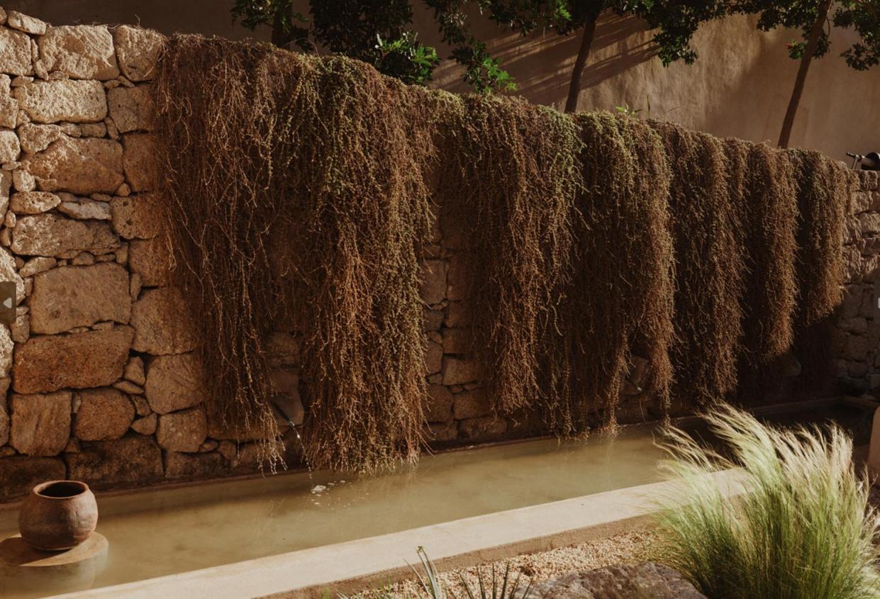 Ecohotel El Agua Arico el Nuevo Eksteriør bilde