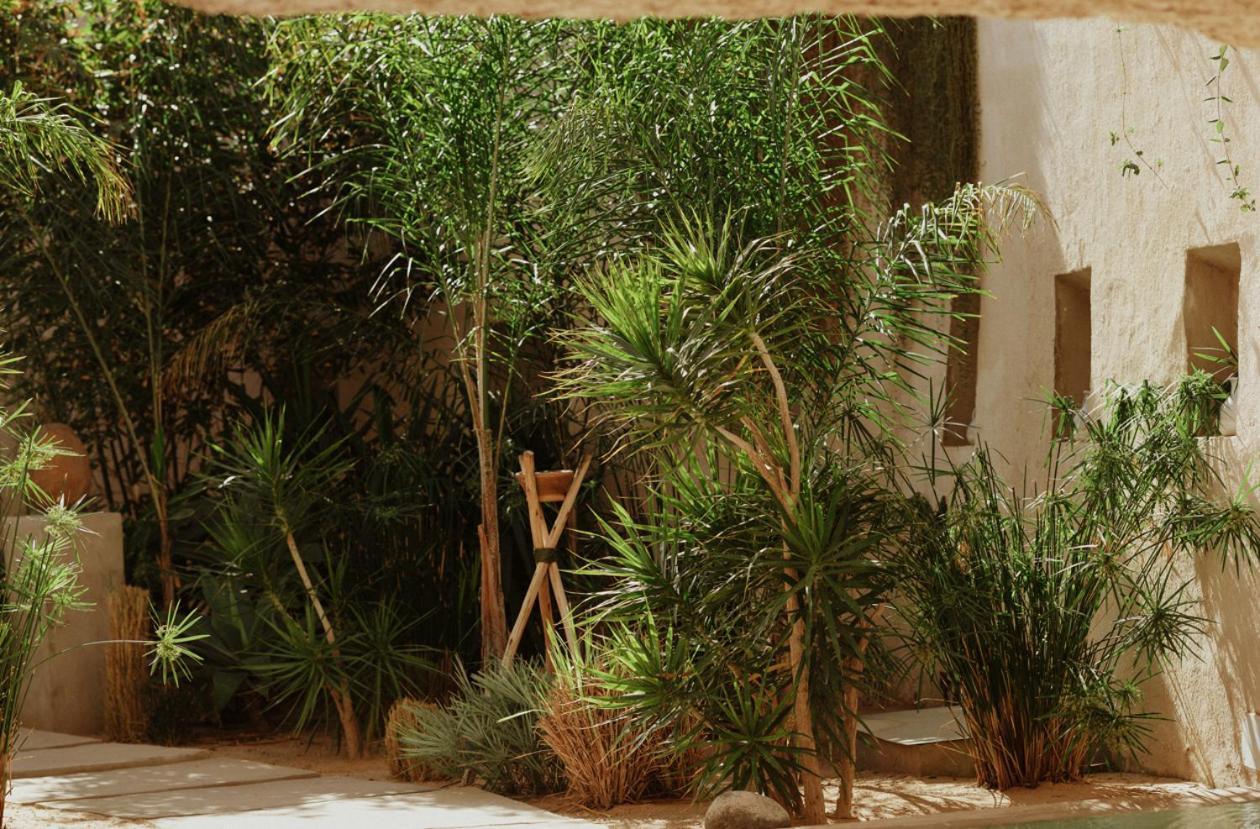 Ecohotel El Agua Arico el Nuevo Eksteriør bilde