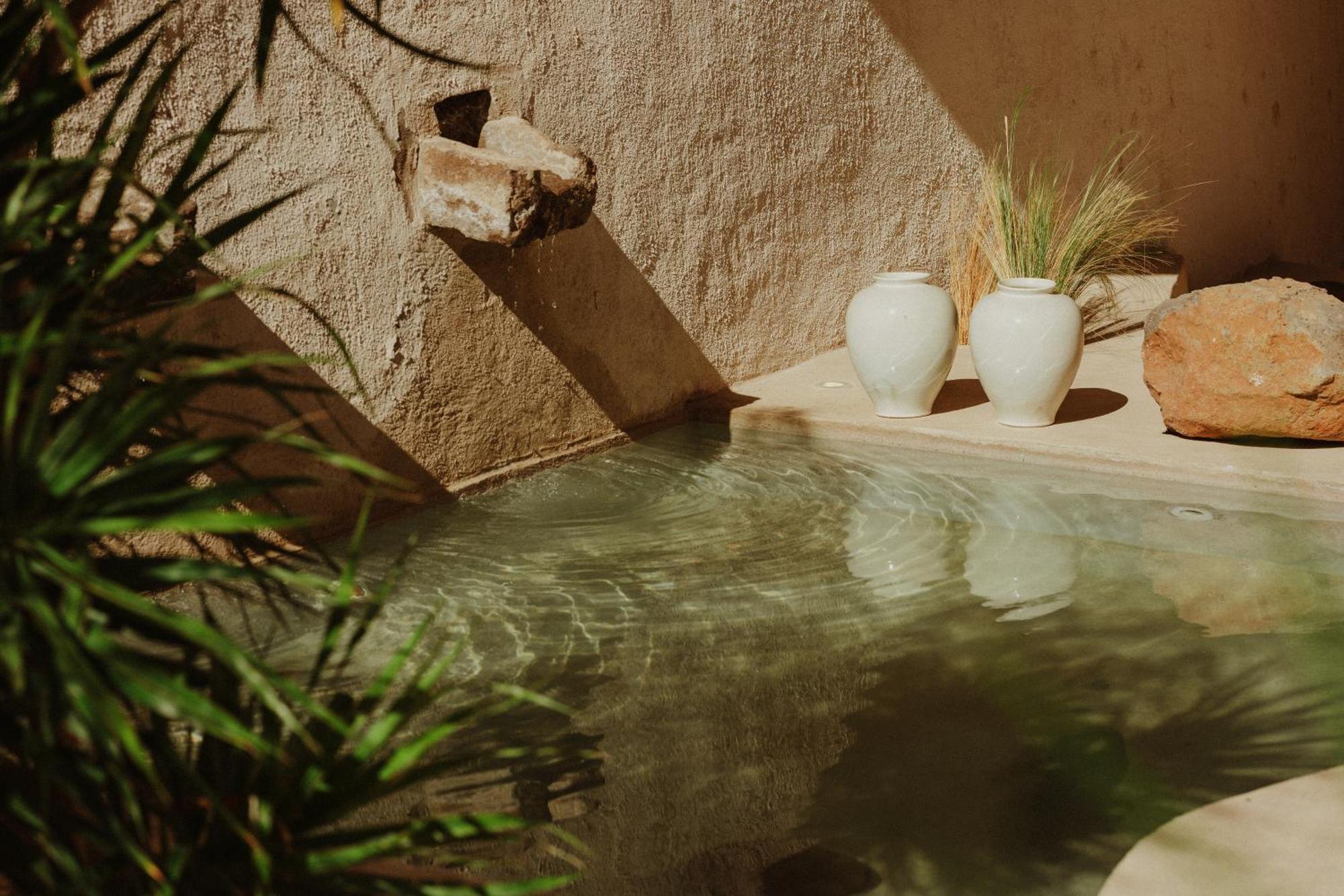 Ecohotel El Agua Arico el Nuevo Eksteriør bilde