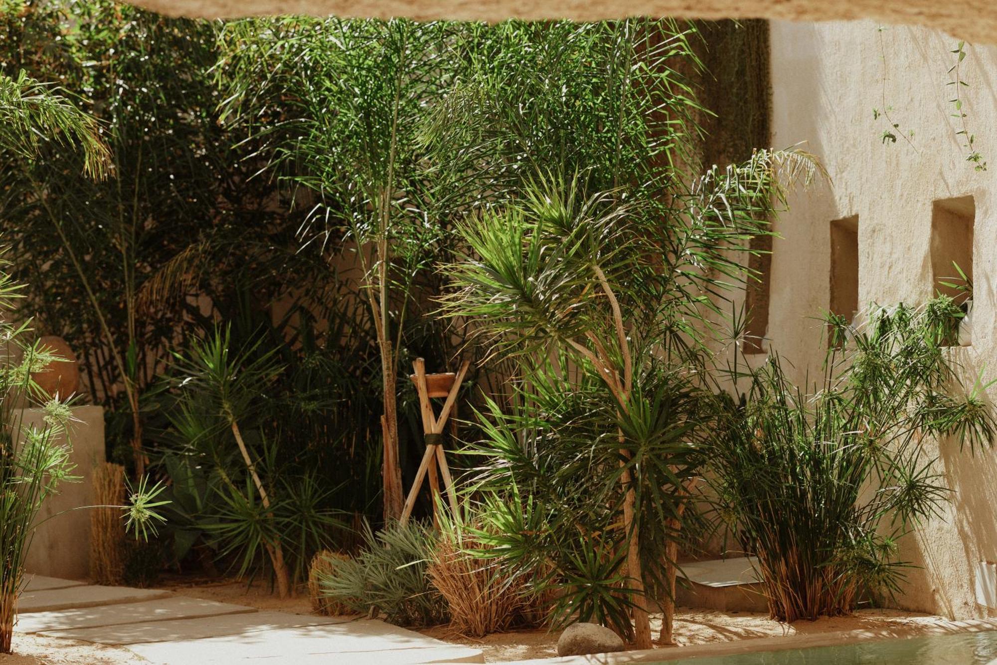 Ecohotel El Agua Arico el Nuevo Eksteriør bilde
