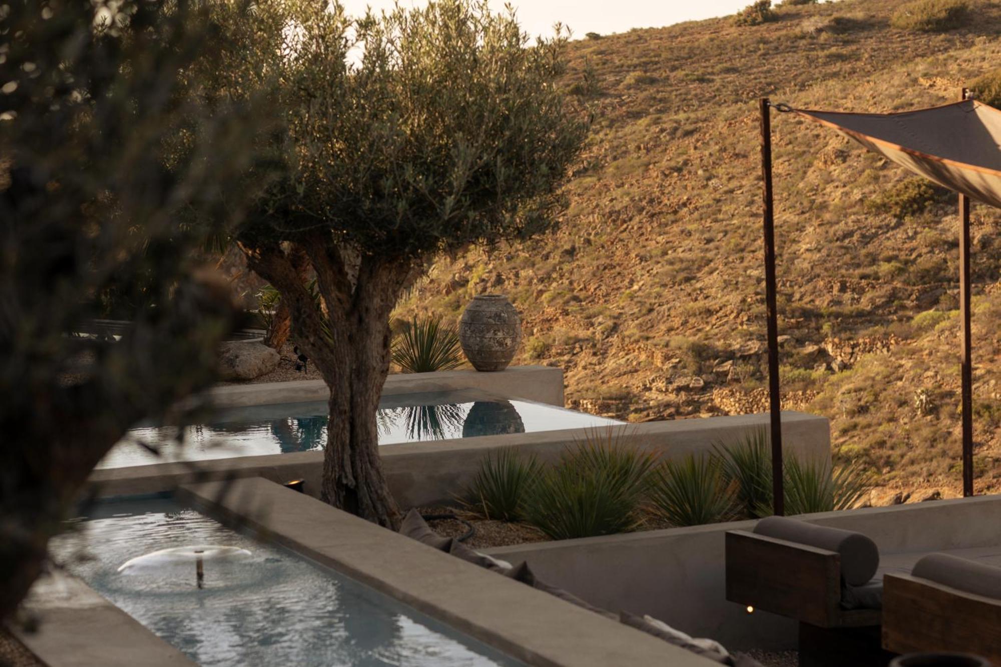 Ecohotel El Agua Arico el Nuevo Eksteriør bilde
